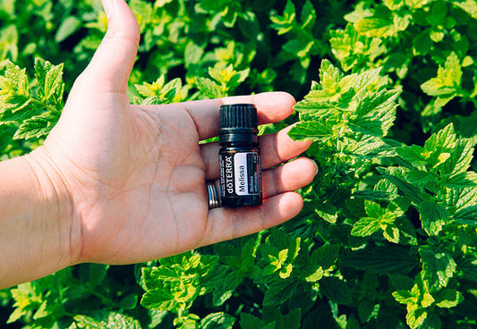 VoniaStore a Doterra hivatalos viszonteladója
