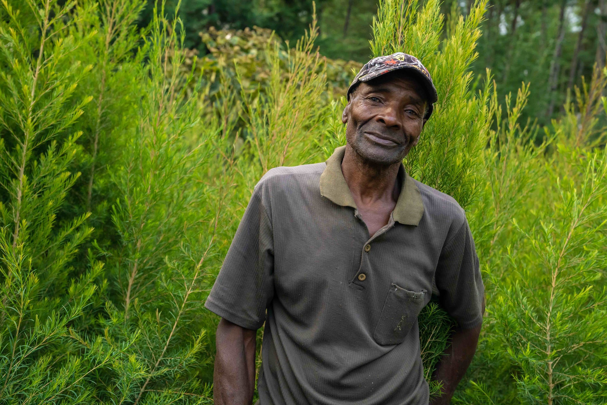 3X Impact Tea Tree, Kenya 9