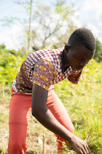 3X Impact Tea Tree, Kenya 10