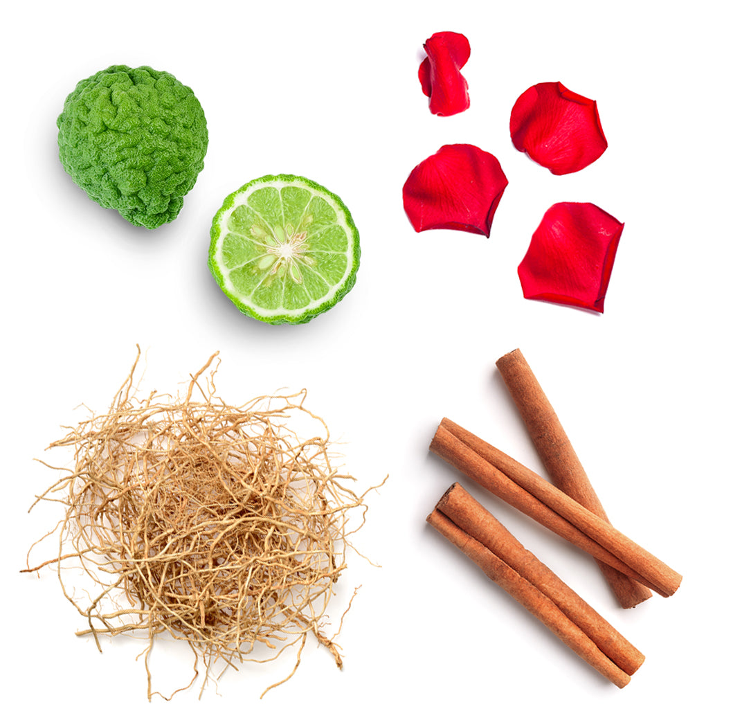 whisper touch whats inside 1085x1050 eu