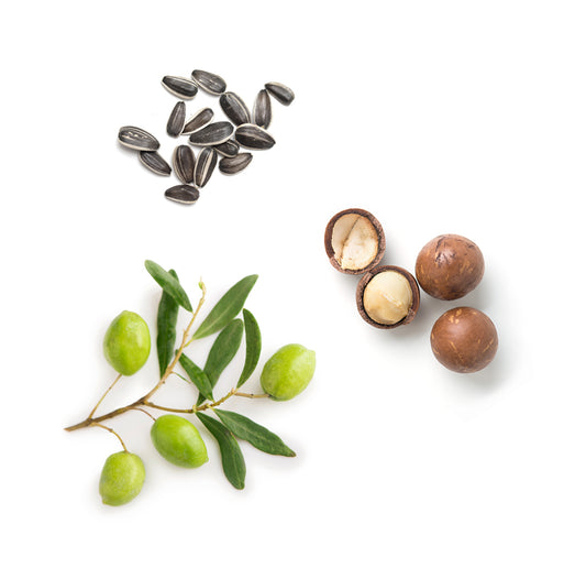 handandbodylotion whats inside 1085x1050 eu