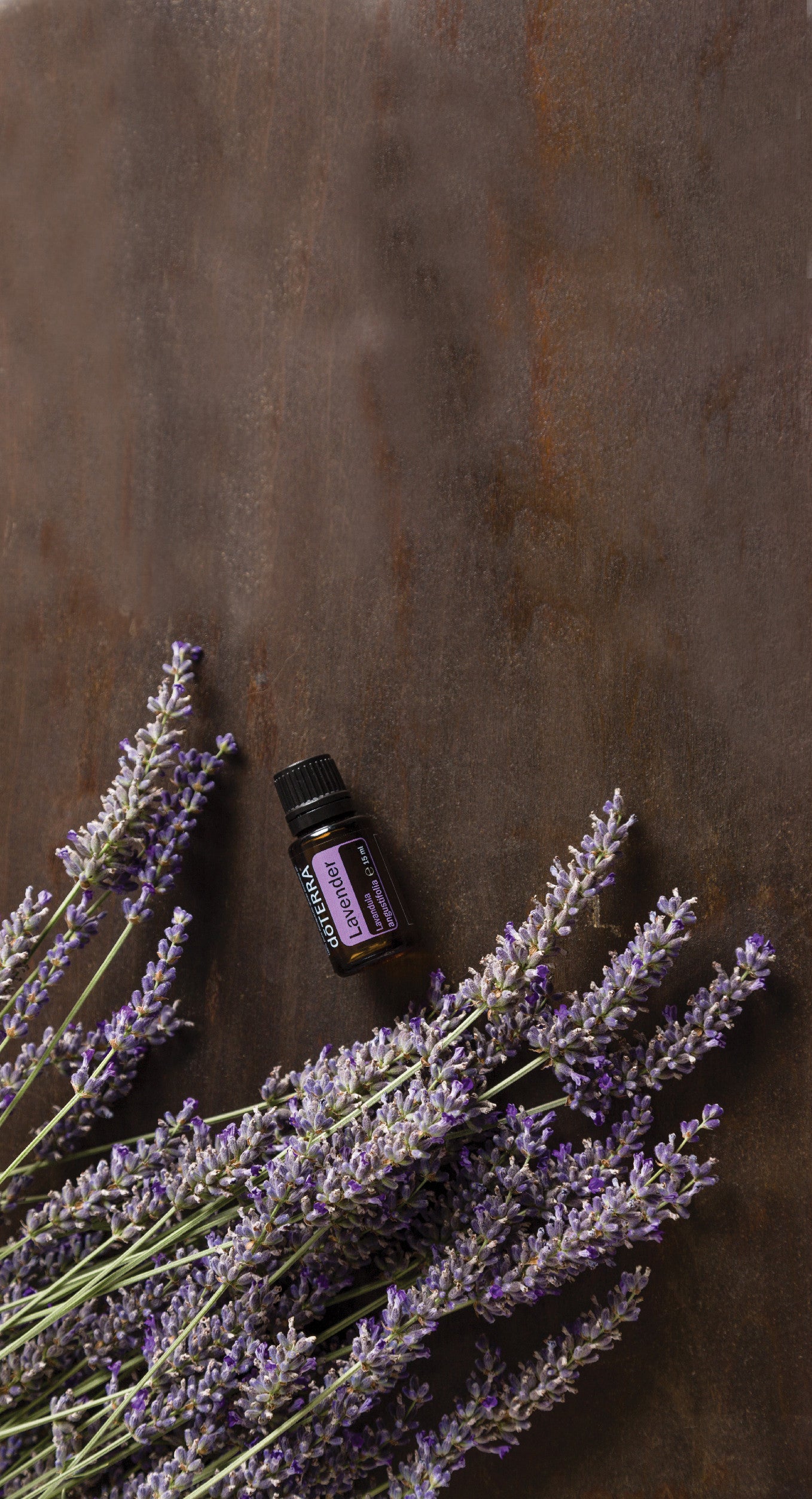 doTERRA levendula illóolaj 15mg - Lavender