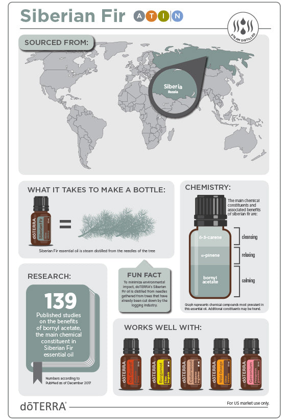 szibériai fenyő - siberian fir beszerzése