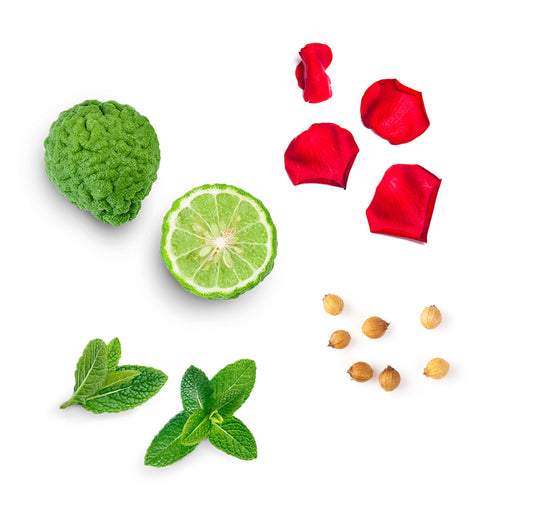 Doterra align illóolaj keverék mi van benne