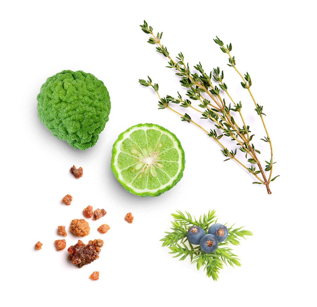 Doterra forgive illóolaj keverék mi van benne