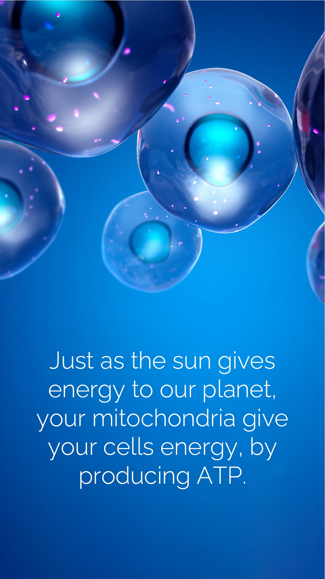 Doterra MetaPWR Mito2max zöldségkapszula